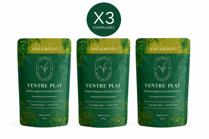 J&R VENTRE PLAT - Slim tea Premium Digestion & Ballonnements 🇫🇷